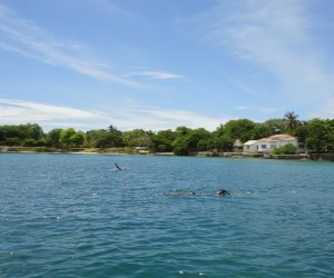 Isla Grande.  Fuente: www.panoramio.com - Foto por peruvianadvisor