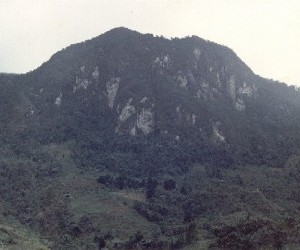 Peñas Blancas Source: wikimedia org by Jesus Alfonso Lopez